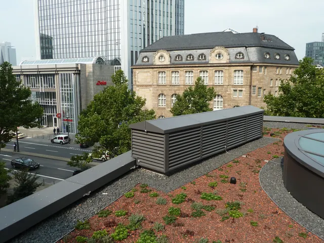 T11 – Frankfurt – Bild 16
